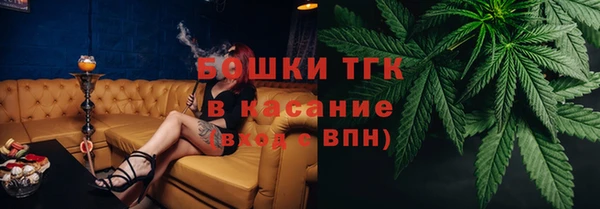 стаф Аркадак