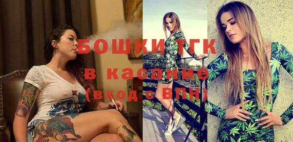 стаф Аркадак