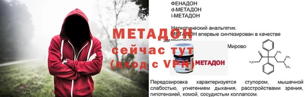 стаф Аркадак