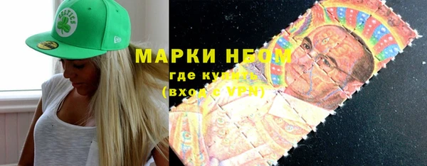 стаф Аркадак