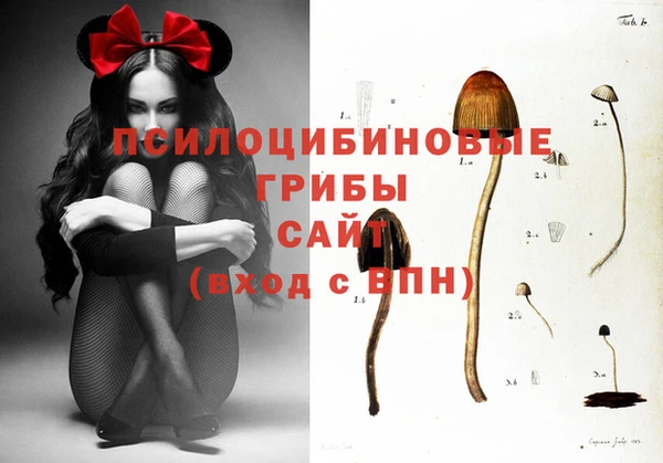 гидропоника Арсеньев