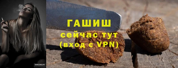стаф Аркадак