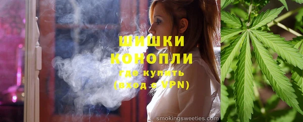 стаф Аркадак