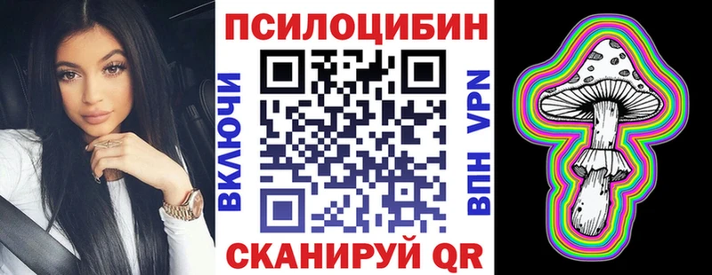 Галлюциногенные грибы Psilocybine cubensis  Ленск 